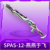 SPAS-12-燕燕于飞
