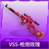 VSS-枪炮玫瑰