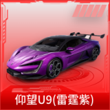 仰望U9(雷霆紫)