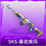 SKS-暴走疾风