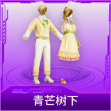 青芒树下