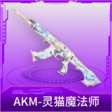 AKM-灵猫魔法师