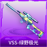 VSS-绿野极光
