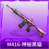 M416-神秘黑猫