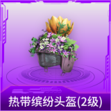 热带缤纷头盔(2级)