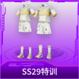 SS29特训