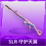 SLR-守护天翼