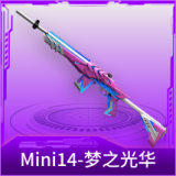 Mini14-梦之光华