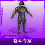格斗专家