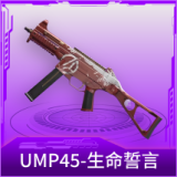 UMP45-生命誓言
