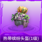 热带缤纷头盔(1级)