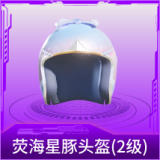 荧海星豚头盔(2级)