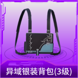 异域银装背包(3级)
