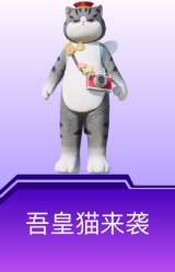 吾皇猫来袭