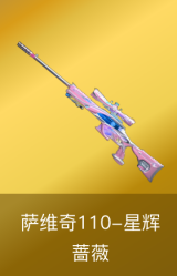 萨维奇110-星辉蔷薇