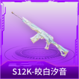 S12K-皎白汐音