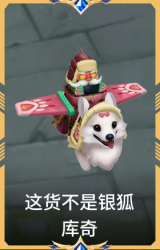 这货不是银狐 库奇