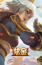 替父从军 花木兰 炫金龙刃