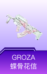 GROZA-蝶骨花信