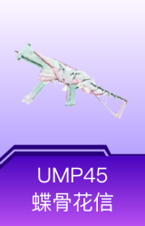 UMP45-蝶骨花信