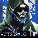 VCT25xXLG卡面