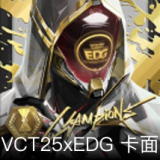 VCT25xEDG卡面