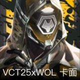 VCT25xWOL卡面