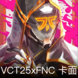 VCT25xFNC卡面