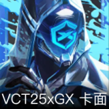 VCT25xGX卡面
