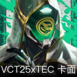 VCT25xTEC卡面