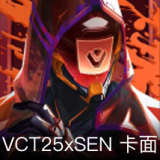 VCT25xSEN卡面