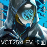 VCT25xLEV卡面