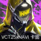 VCT25xNAVI卡面