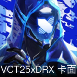 VCT25xDRX卡面