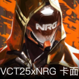 VCT25xNRG卡面