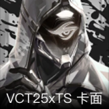 VCT25xTS卡面