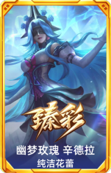 幽梦玫瑰 辛德拉 纯洁花蕾