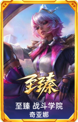 至臻 战斗学院 奇亚娜