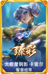 北极星钢影 卡蜜尔 智慧纽带
