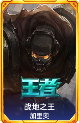 战地之王 加里奥