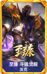 至臻 斗魂觉醒 派克