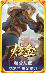 替父从军 花木兰 炫金龙刃