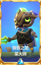 钢铁之龙 菜大师