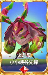 火龙果 小小峡谷先锋