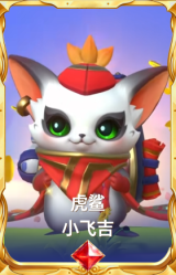 虎鲨 小飞吉