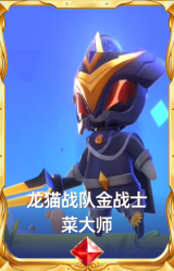 龙猫战队金战士 菜大师