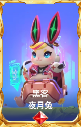 黑客 夜月兔