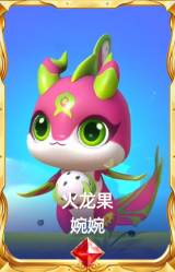 火龙果 婉婉