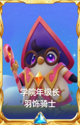 学院年级长 羽饰骑士