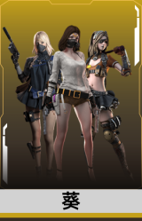 葵